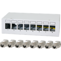 White LogiLink 8-port patch panel with 8 Cat.6A keystone modules, numbered slots, and compact design.
