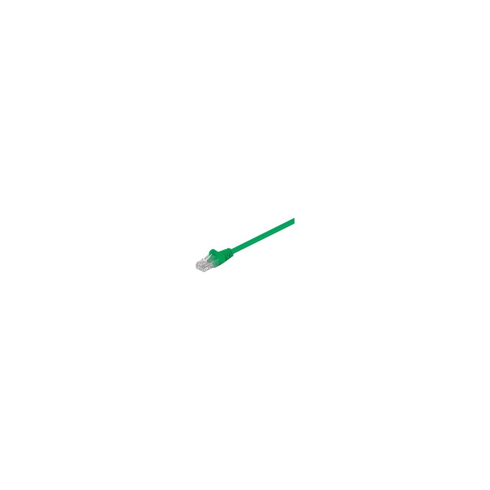Green 0.25 m Cat5e U/UTP networking cable with a clear plastic connector, designed for reliable data transmission.