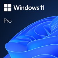 Microsoft Windows 11 Pro OEM License - image 3