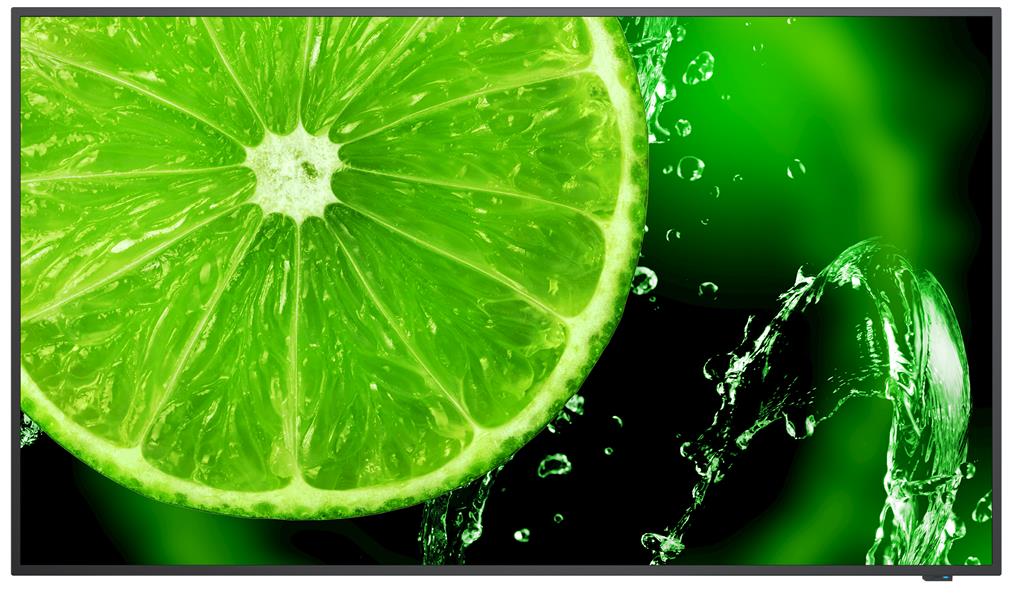 NEC MultiSync E498 49" 4K Ultra HD IPS Television - image 2