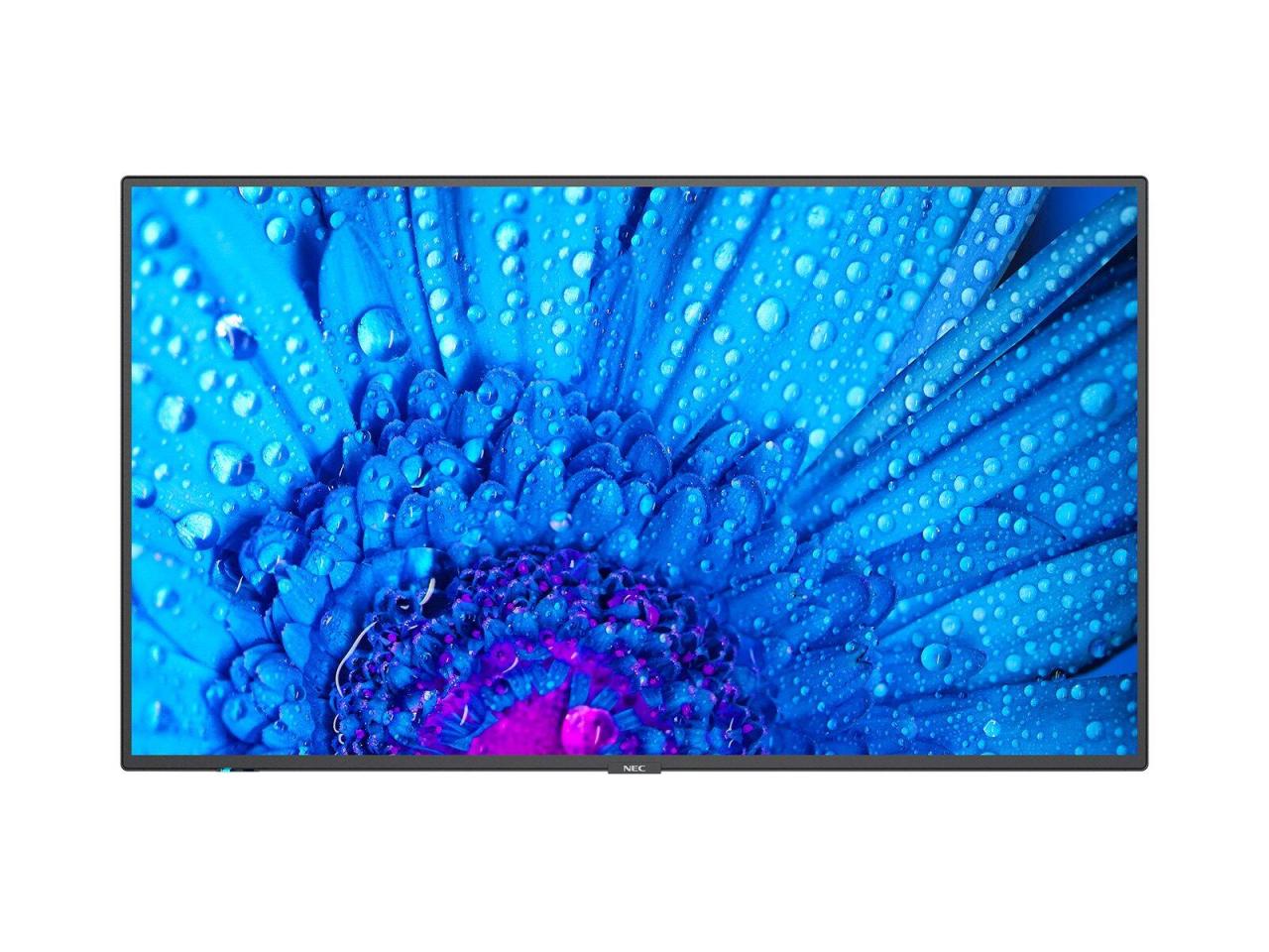 NEC MultiSync M861 is an 86-inch LCD digital signage flat panel displaying a vibrant blue flower with water droplets, featuring a sleek black bezel.