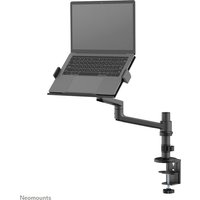 Black Neomounts DS20-425BL1 laptop holder monitor arm with adjustable clamp, supporting 11.6-17.3" laptops.