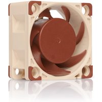Beige and brown Noctua NF-A4x20 FLX 4 cm computer case fan with square frame and rounded corners.