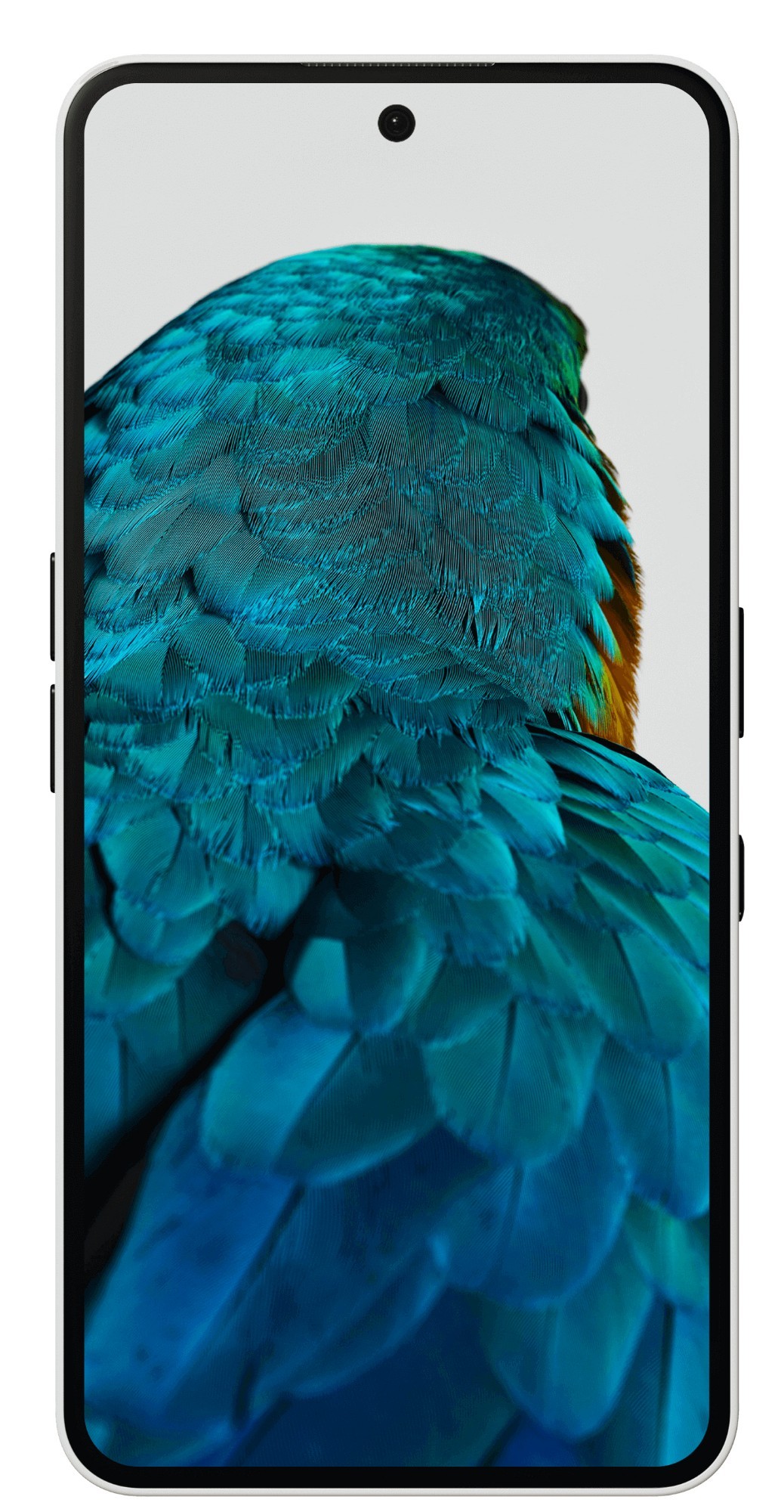 Nothing Phone 3a Pro features a sleek white frame, vibrant blue parrot feather wallpaper on a large display, and dual SIM capability with 12GB RAM and 256GB storage.