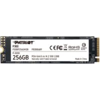 Black Patriot Memory P300 256GB M.2 PCIe SSD with gold connector and white labeling.