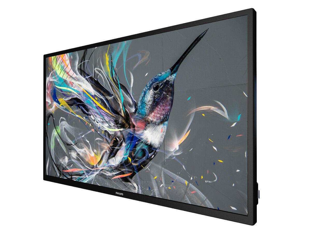 Philips 32BDL3511Q/00 digital signage display features a sleek black frame, vibrant colors in the artwork of a hummingbird, and a slim profile suitable for indoor advertising.