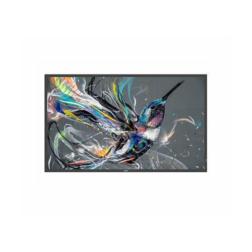 Philips 65BDL3650QE/00 digital signage display features a vibrant flat panel showcasing a colorful hummingbird design against a gray background.