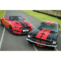 Red Ford Mustang V8 GT and black 1965 V8 with red racing stripes on a track.