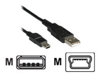 Black Roline USB cable featuring a 2.0 a-Mini B plug, measuring 3 meters in length, with distinct connectors at both ends.
