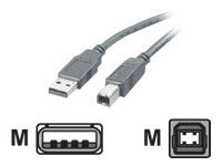 Roline 11.02.8808 USB 2.0 cable, 0.8M long, featuring a blue plastic exterior with a Type-A plug on one end and a Type-B plug on the other.