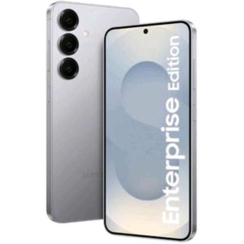 Samsung Galaxy S25 Enterprise Edition in silver, featuring a 6.2-inch display, dual SIM capability, and three rear cameras, with "Enterprise Edition" text prominently displayed.