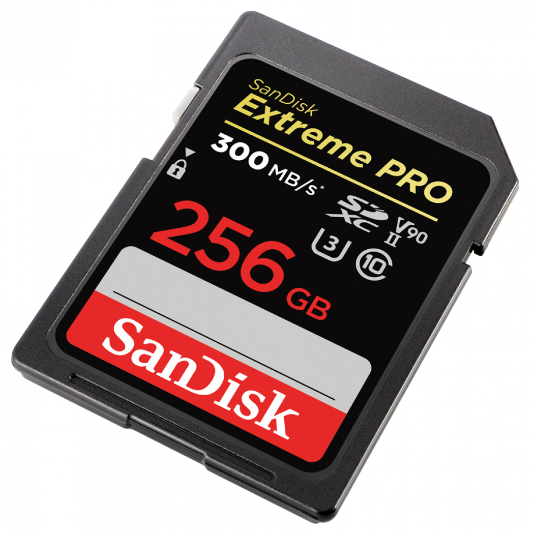 SanDisk Extreme PRO 256 GB SDXC card in black with red and white text, featuring a speed rating of 300 MB/s, UHS-II, Class 10, and V90 for high-performance storage.