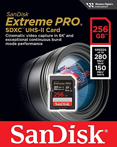 SanDisk SDSDXEP-256G-GN4IN memory card 256 GB SDXC UHS-II Class 10 - image 4