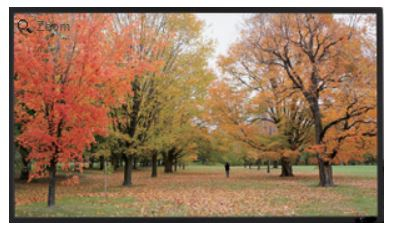 Sapphire AV SFSC266-SB-at projection screen, 3.07 m (121"), 16:9 aspect ratio, featuring a black frame and a smooth, matte white surface, set against a vibrant autumn landscape.