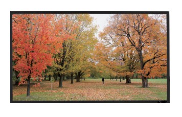 Sapphire AV fixed frame screen with a slim black bezel, measuring 2037 x 1273mm, showcasing vibrant autumn trees in a park setting.