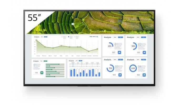 55-inch Sony FW-55BZ30L digital signage display features a sleek flat panel design, showcasing vibrant graphs and data analysis on a green and white background.
