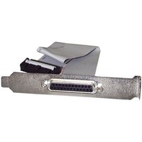Silver StarTech.com 16in DB25 parallel female to IDC 26 pin header slot plate with attached ribbon cable.