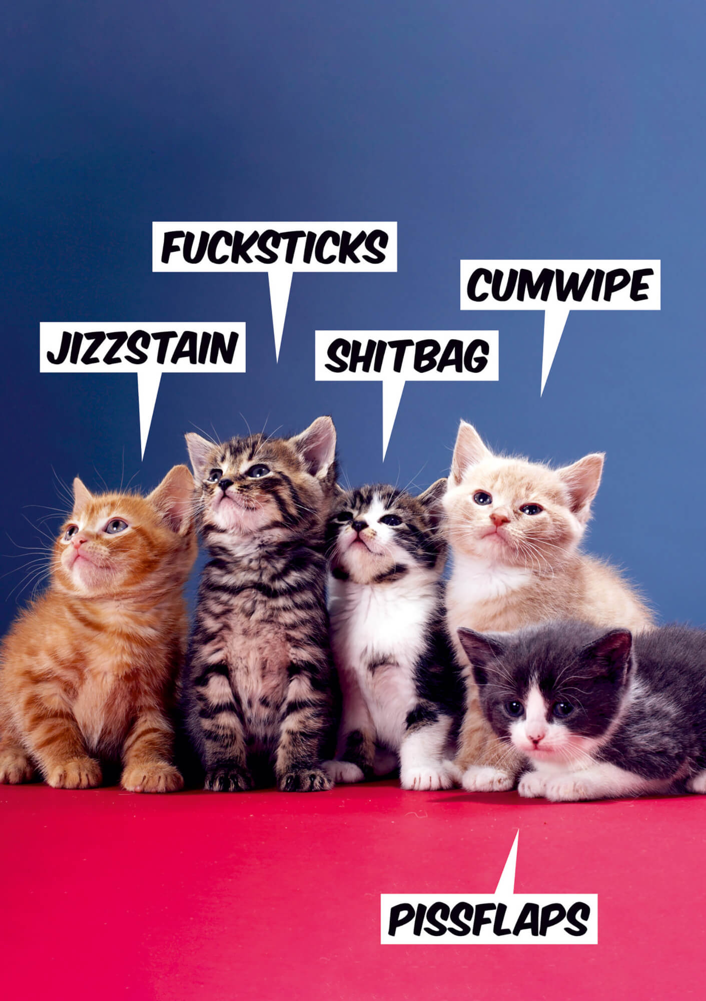 Five playful kittens in various colors (orange, tabby, gray, and white) sit against a blue background, each with a speech bubble featuring humorous swear words.