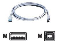 White 3-meter USB 2.0 cable featuring male connectors on both ends, with one end having a blue insert for easy identification.