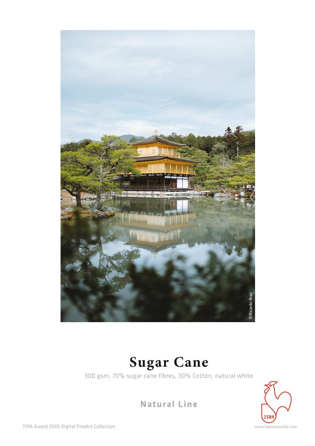 HAHNEMUEHLE SUGAR CANE-A2 25S-300 - image 4
