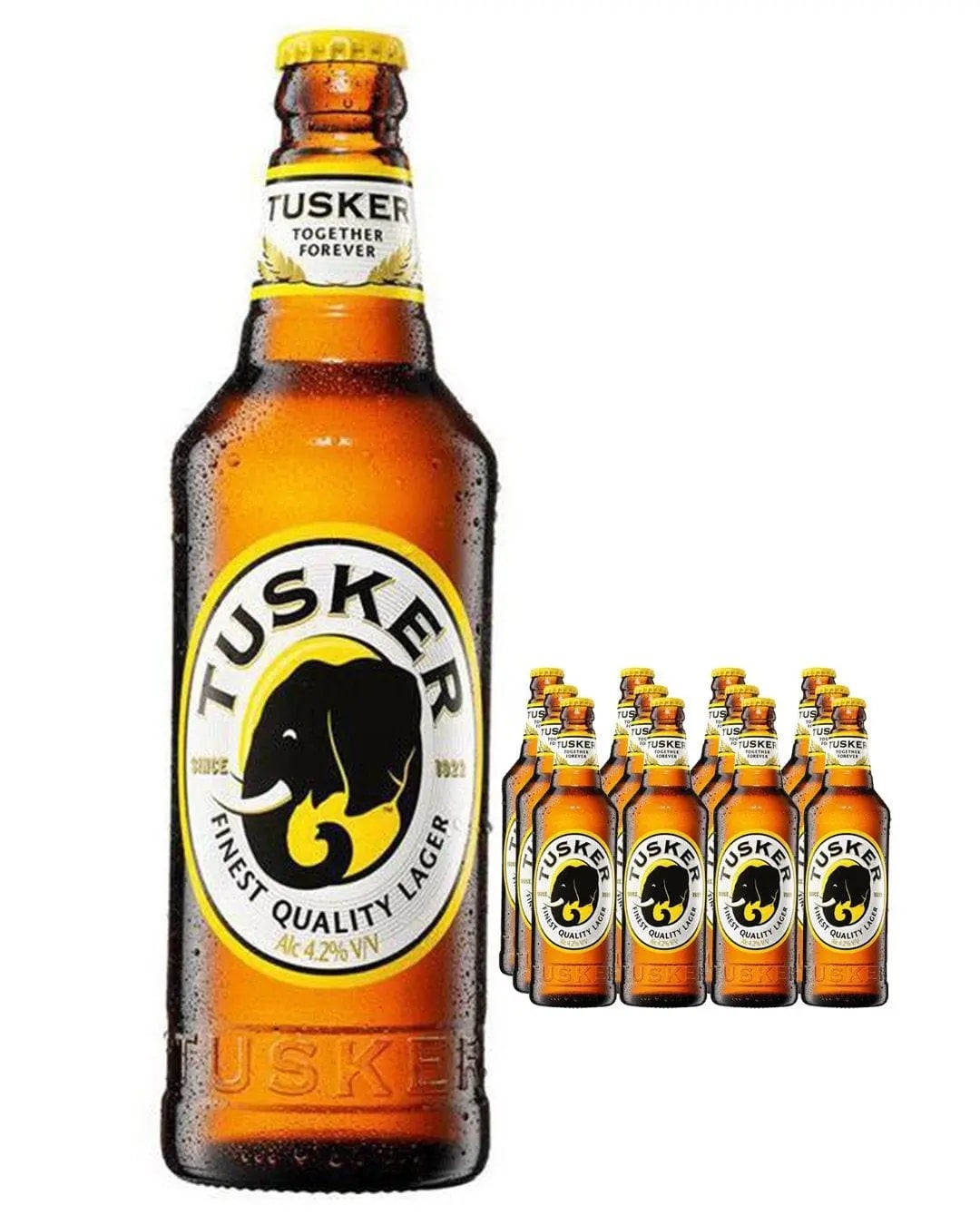 Tusker Finest Quality Lager multipack featuring 12 amber bottles, each with a black and yellow label displaying an elephant logo, set against a white background.