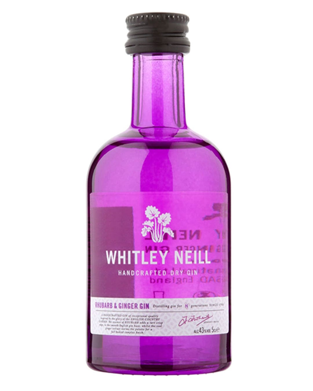 Purple glass miniature bottle of Whitley Neill Rhubarb & Ginger Gin, featuring a white label with the brand name and flavor details, measuring 5 cl.