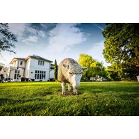 Wrexham Llyndir Hotel with white facade, lush green lawn, and sheep sculpture in foreground under a blue sky.