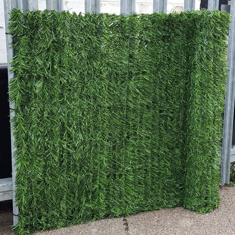3m x 1m Conifer Screening Roll - image 3