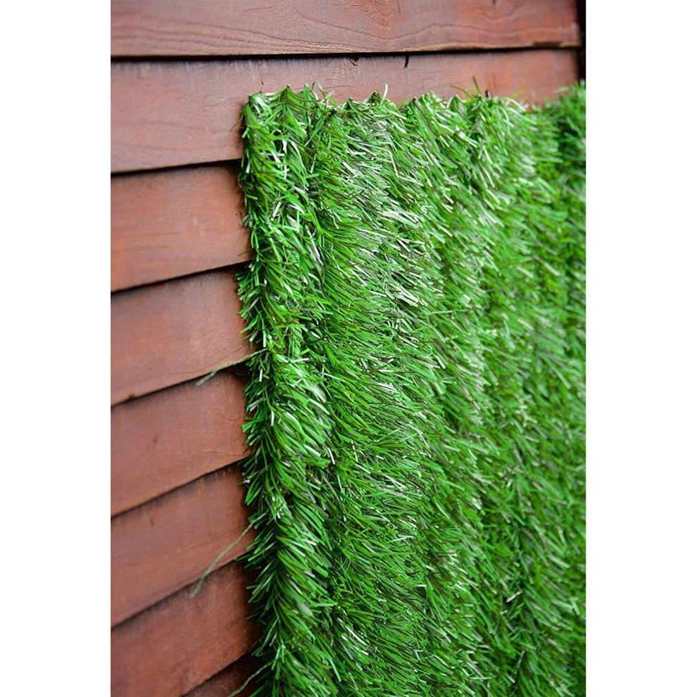 3m x 1m Conifer Screening Roll - image 4