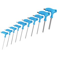 BlueSpot 10 Piece T Handle Hex Key Set with blue ergonomic grips and metal shafts, includes a storage rack.