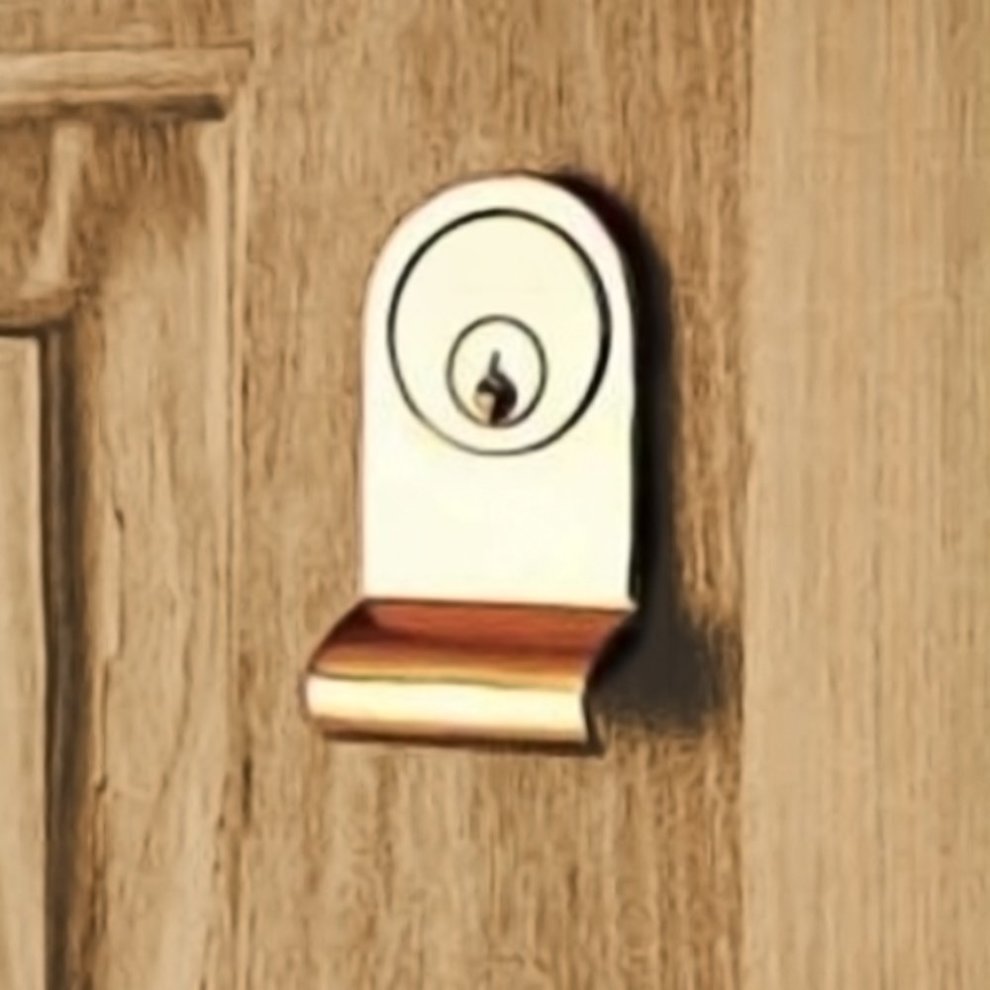 Brass Cylinder Door Pull - image 3