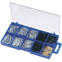 Blue plastic box with clear lid containing assorted silver and black nails and pins in separate compartments.