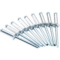 Silver Draper blind rivets, 4.8 x 16mm, pack of 50, with smooth cylindrical bodies and wide flat heads.