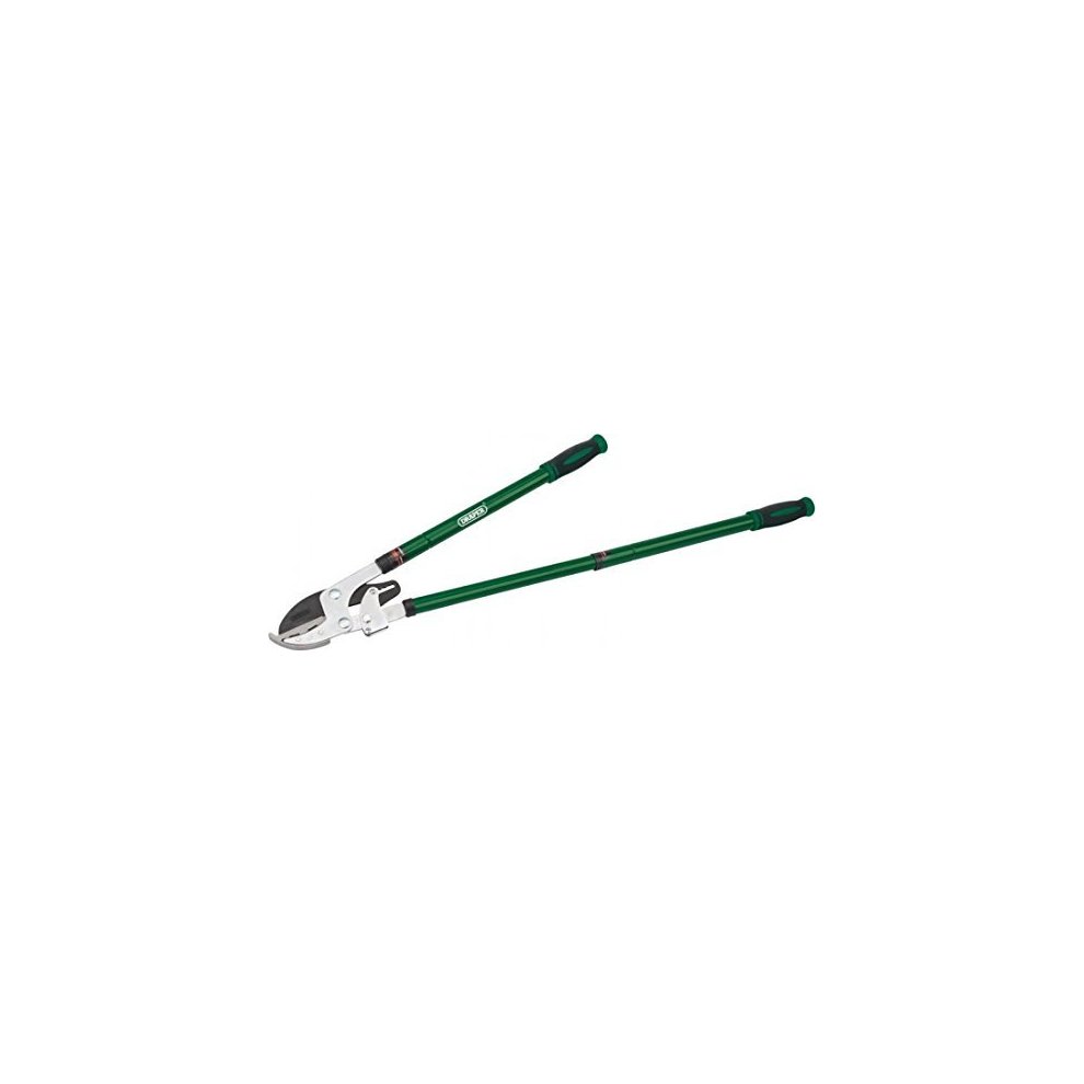 Telescopic ratchet action anvil loppers with green steel handles and silver cutting blades, designed for efficient pruning and cutting of branches.