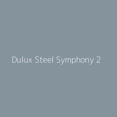Dulux Colour Tester Steel Symphony 2, 30ML - image 2