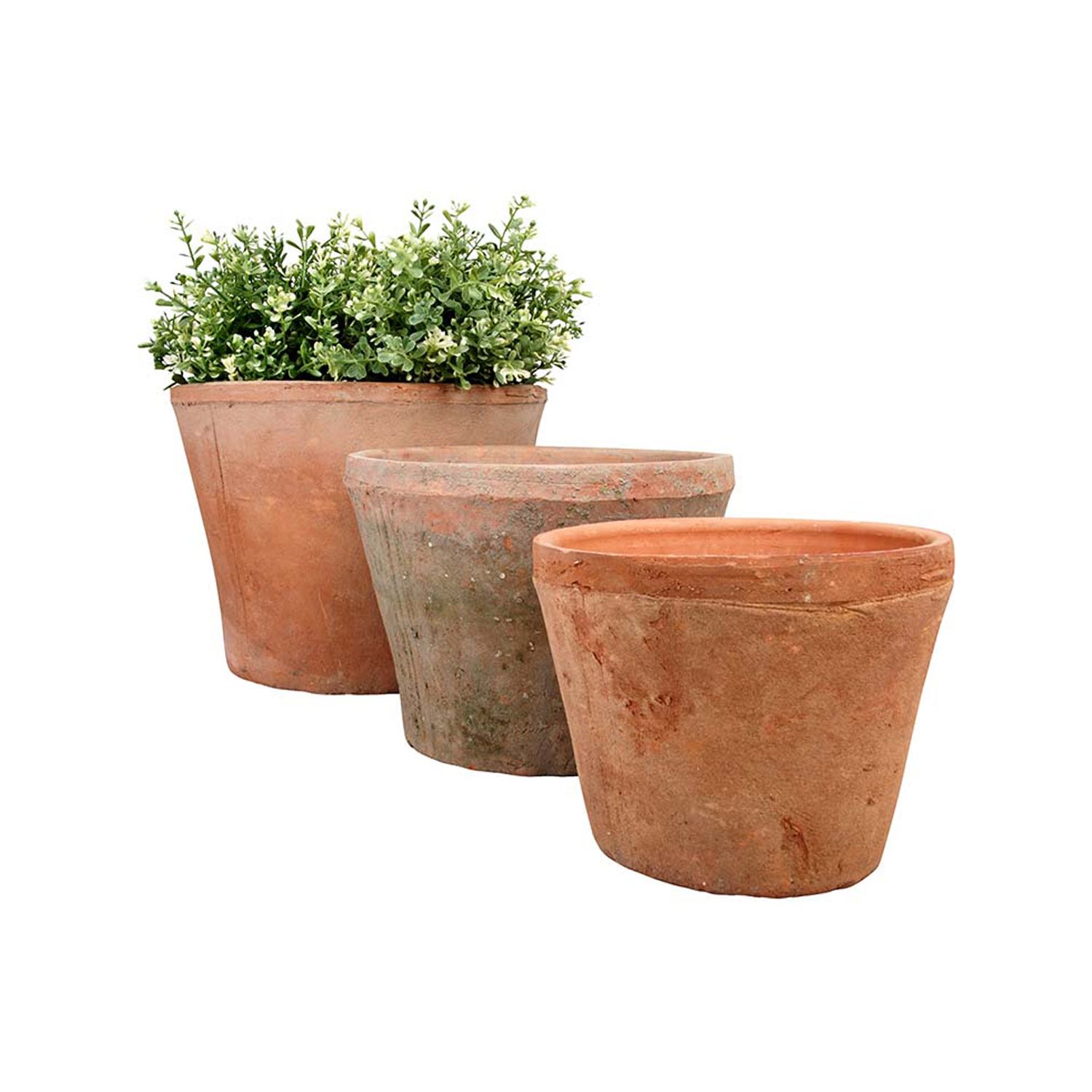 Large set of three aged terra-cotta planters in varying sizes, featuring a rustic finish and one pot filled with lush green foliage.