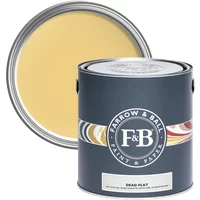 Farrow & Ball Dead Flat paint can, Citron No. 74, 2.5L, dark gray label, ultra-matt finish, yellow paint inside.