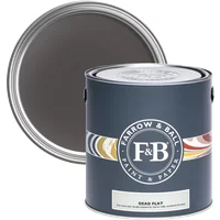 Farrow & Ball Dead Flat 5L paint can, Tanner's Brown No. 255, dark gray label with F&B logo and color swatches.