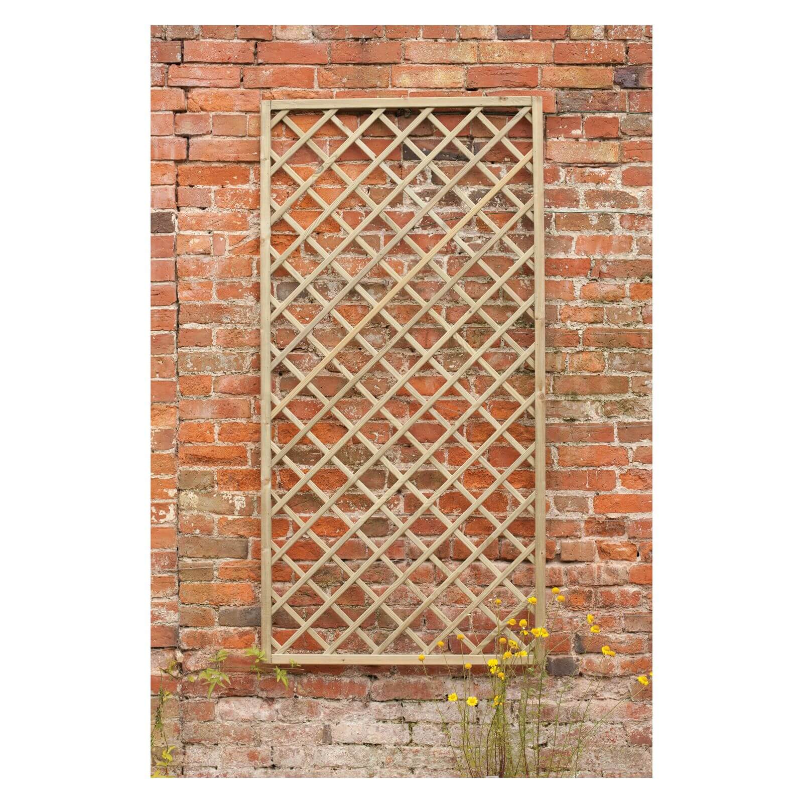 Forest 6' x 3' Hidcote Decorative Diamond Wooden Lattice Trellis (1.8m x 0.9m) - image 3