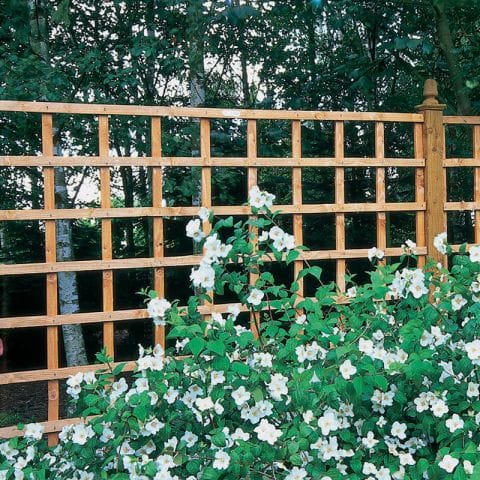 Heavy-duty square garden trellis fence panel in natural wood finish, measuring 6' x 4', featuring a grid design and topped with decorative finials, surrounded by flowering plants.