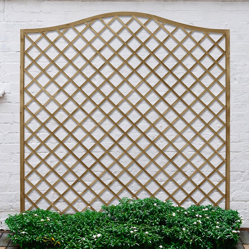 A decorative garden screen panel featuring a lattice design, made of pressure-treated wood, with a natural wood finish, measuring 6' x 6', set against a white wall and green foliage.