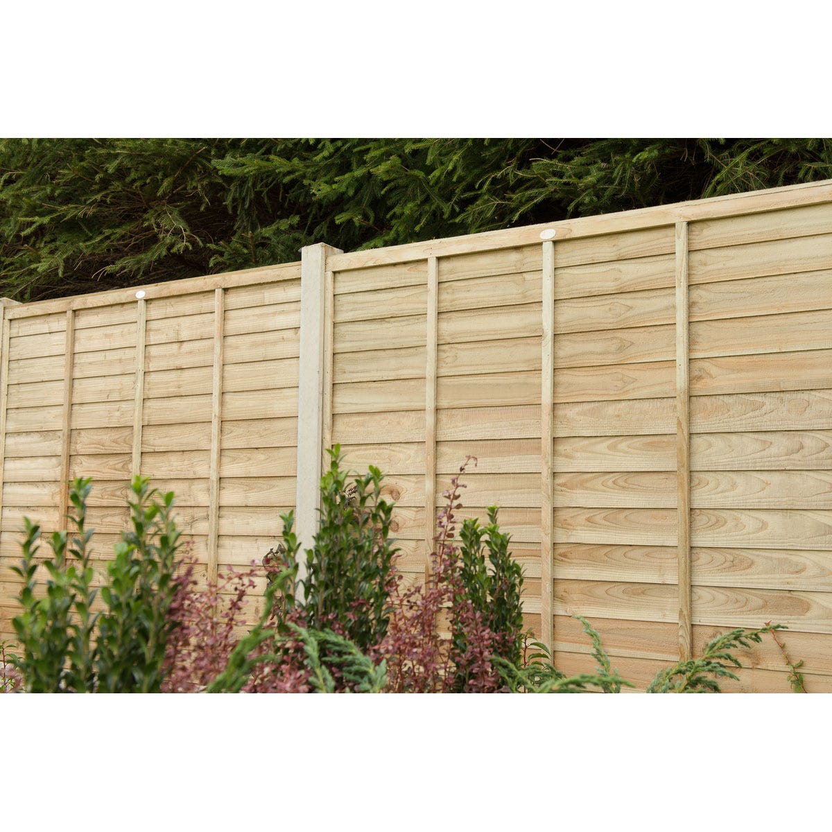 Brown pressure-treated superlap fence panel, measuring 6ft x 5ft, featuring horizontal slats and sturdy vertical posts, set against lush greenery.