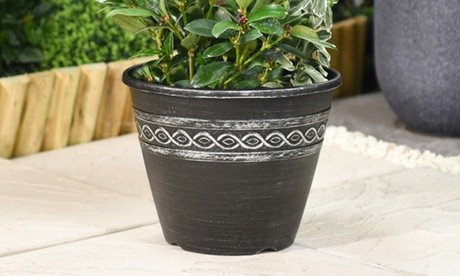 Black ceramic planter featuring a Roman-Greco design with white decorative band, showcasing a lush green plant inside, set on a stone surface.