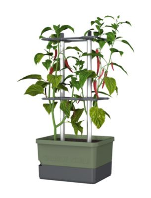 Dark green rectangular planter with a gray base, featuring two vertical metal supports and healthy chili plants with red peppers growing on them.