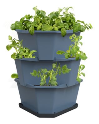 Three-tiered blue potato tower planter made of durable plastic, featuring vibrant green potato plants growing in each level, with a black base for stability.
