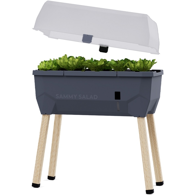 Antracytowa donica Gusta Garden Sammy Salad z pokrywą, na drewnianych nogach, z widocznymi roślinami w środku, idealna do uprawy ziół i sałat.