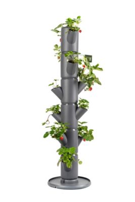 Vertical garden tower in anthracite color with six tiers, featuring multiple planting pockets filled with lush green strawberry plants and red strawberries.
