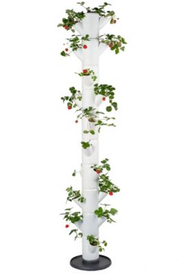 Tall, white vertical planter with 10 tiers, featuring lush green strawberry plants and bright red strawberries, designed for space-saving gardening.