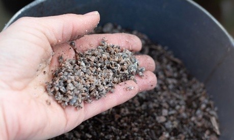 A hand holding a handful of coarse, gray-brown horticultural potting grit, with a background of dark potting soil in a black container.