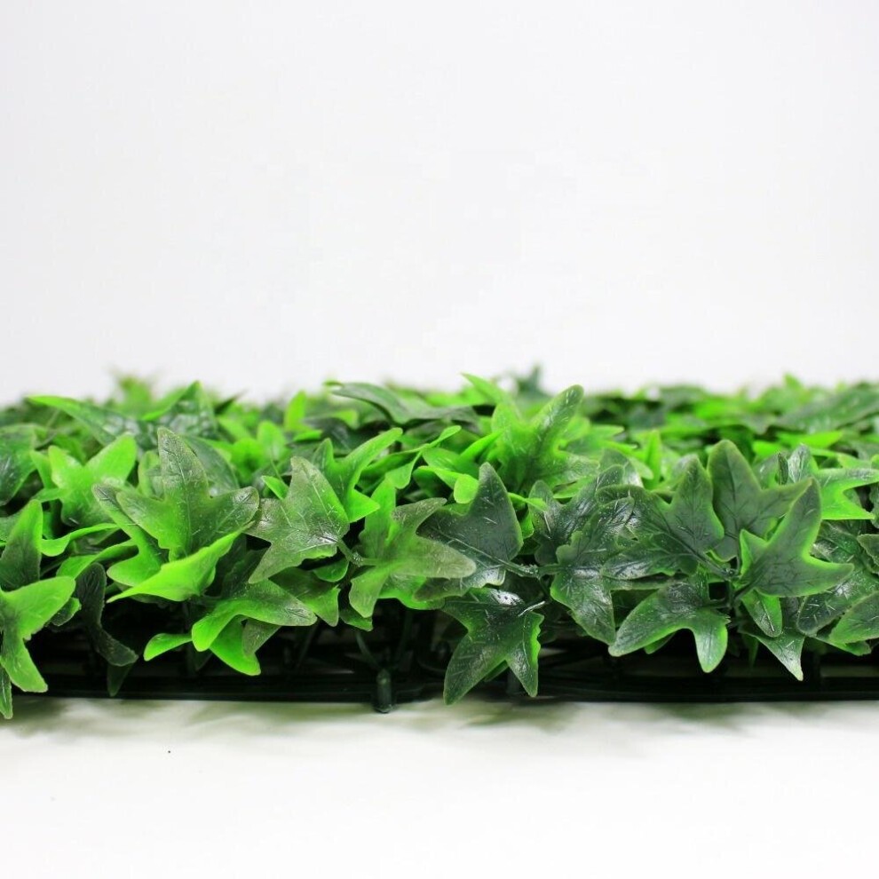 Ivy Hedging Mat - 50cm x 50cm - image 4